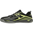 ~Ym EG[uJCU[uN 7 81GA222001 Y fBX 싅 V[Y 3E : ubN~CG[ MIZUNO 1222TK28online