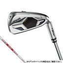 購入金額に応じて最大ポイント15倍 【4/25 23:00〜23:59 限定 】 ピン G430 NS PRO MODUS3 TOUR 105 ゴルフ アイアンセット 6本 2022年 メンズ PING