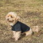 Ρԡ Dog Pullover Logo DS-20AU001 ڥå ɥå : BK 3L snow peak