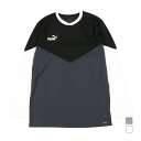 買えば買うほど★最大10％OFFクーポン プーマ メンズ サッカー/フットサル 長袖シャツ INDIVIDUAL RETRO TR LSシャツ 658827 PUMA