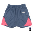 プーマ メンズ サッカー/フットサル ハーフパンツ プラクティスパンツ INDIVIDUAL RETRO TR ショーツ 658828 PUMA