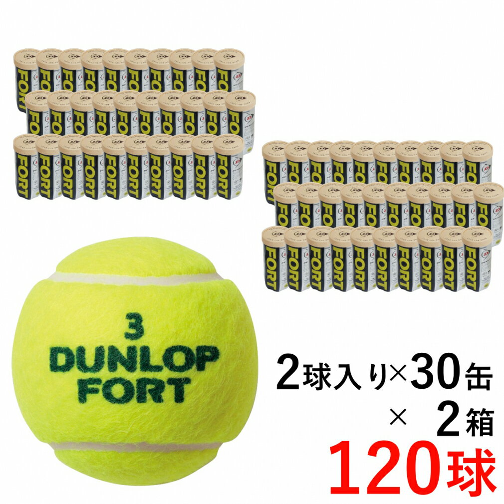 ダンロップ FORT フォート 2球×30缶×2箱(120球) DFEYL2DOZ 2箱セット 硬式テニス プレッシャーボール 2ヶ入ボトル／2ケース（60ボトル） DUNLOP