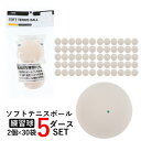 最大10％OFFクーポン ティゴラ ソフトテニスボール セーフティバルブ式 5ダース60球(2×30袋) TR-2TB0058SB WH バルブ式ボール TIGORA