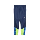 プーマ メンズ サッカー/フットサル ジャージパンツ INDIVIDUALCUP TR パンツ 658872 : ブルー PUMA