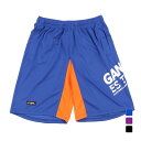 ゴル メンズ サッカー/フットサル ハーフパンツ プラクティスパンツ(カーニョ) G343-606 gol