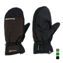 ダカイン メンズ スノーボード グローブ SATURN MITT GORE-TEX BD237749 ゴアテックス DAKINE