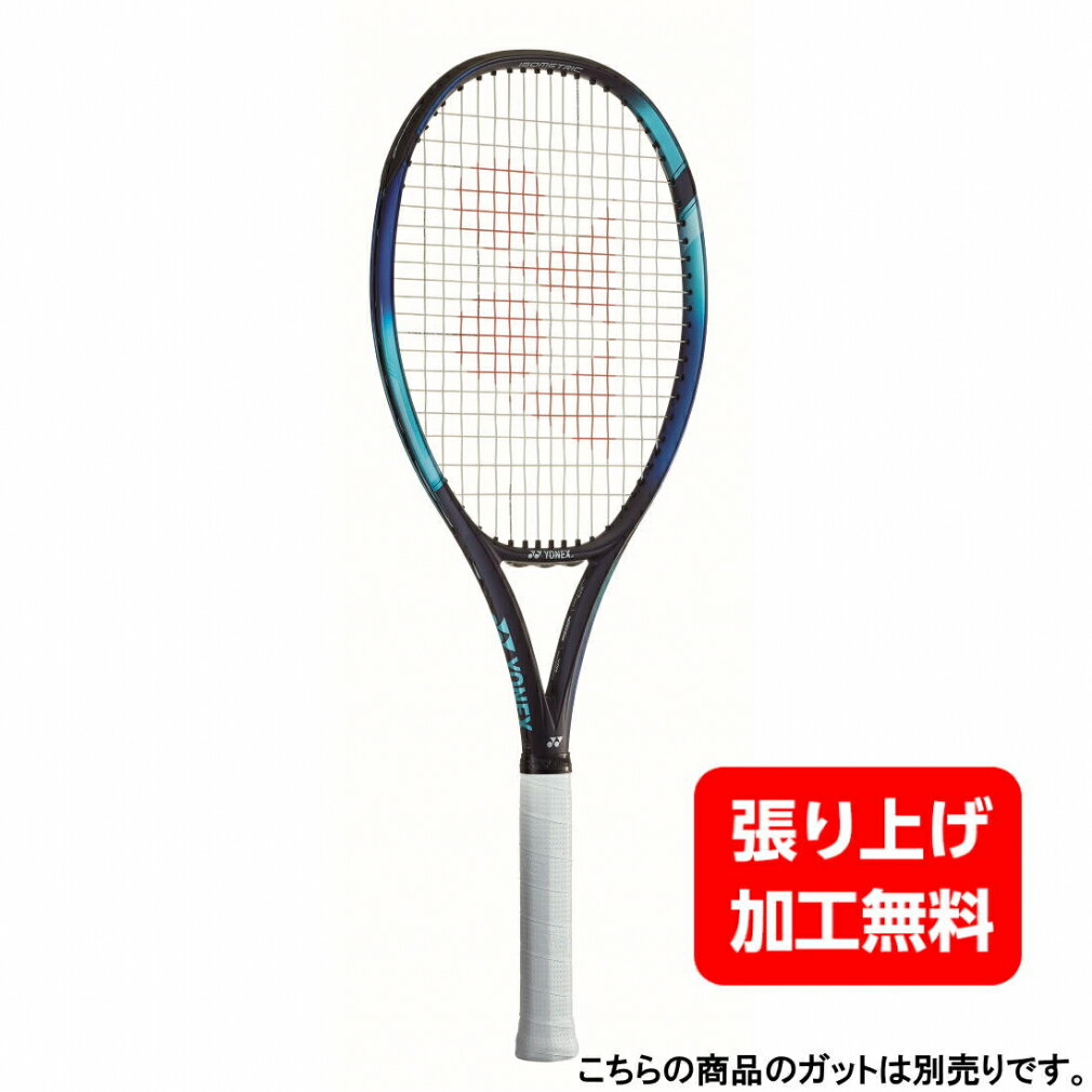 ヨネックス 国内正規品 EZONE100L Eゾーン100L 07EZ10