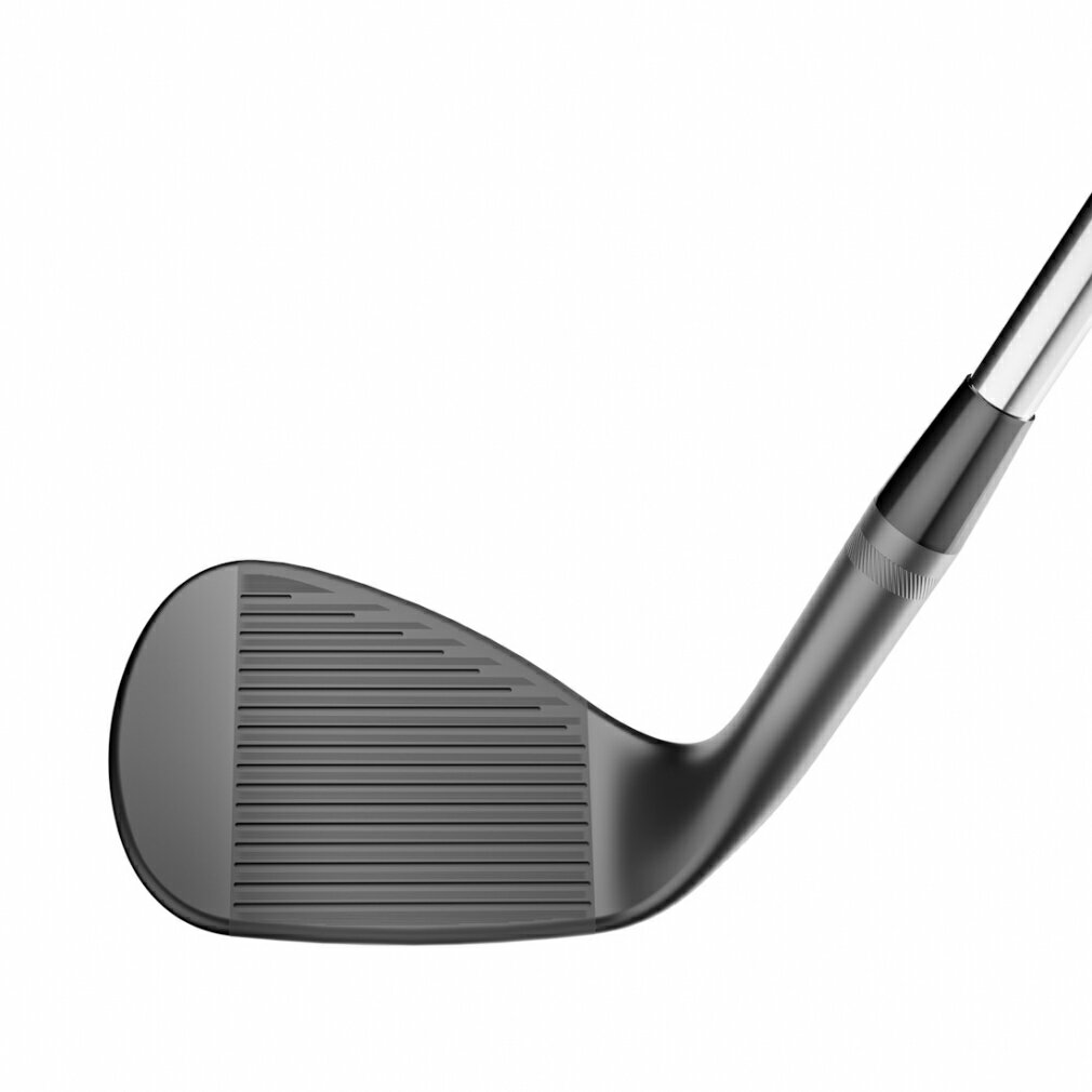 タイトリスト VOKEY DESIGN ボーケイデザイン SM10 ニッケル DG S200 5012Fグラインド ゴルフ ウェッジ 50゜/12゜ 2024年 Titleist