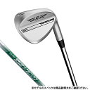 タイトリスト SM10 ツアークローム NS950 NEO S 5810Sグラインド ゴルフ ウェッジ 58゜/10゜ 2024年 Titleist