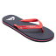 åС MOLOKAI CORE AQYL101325 RVJ1  ޥ ӡ : åɡߥ֥å QUIKSILVER