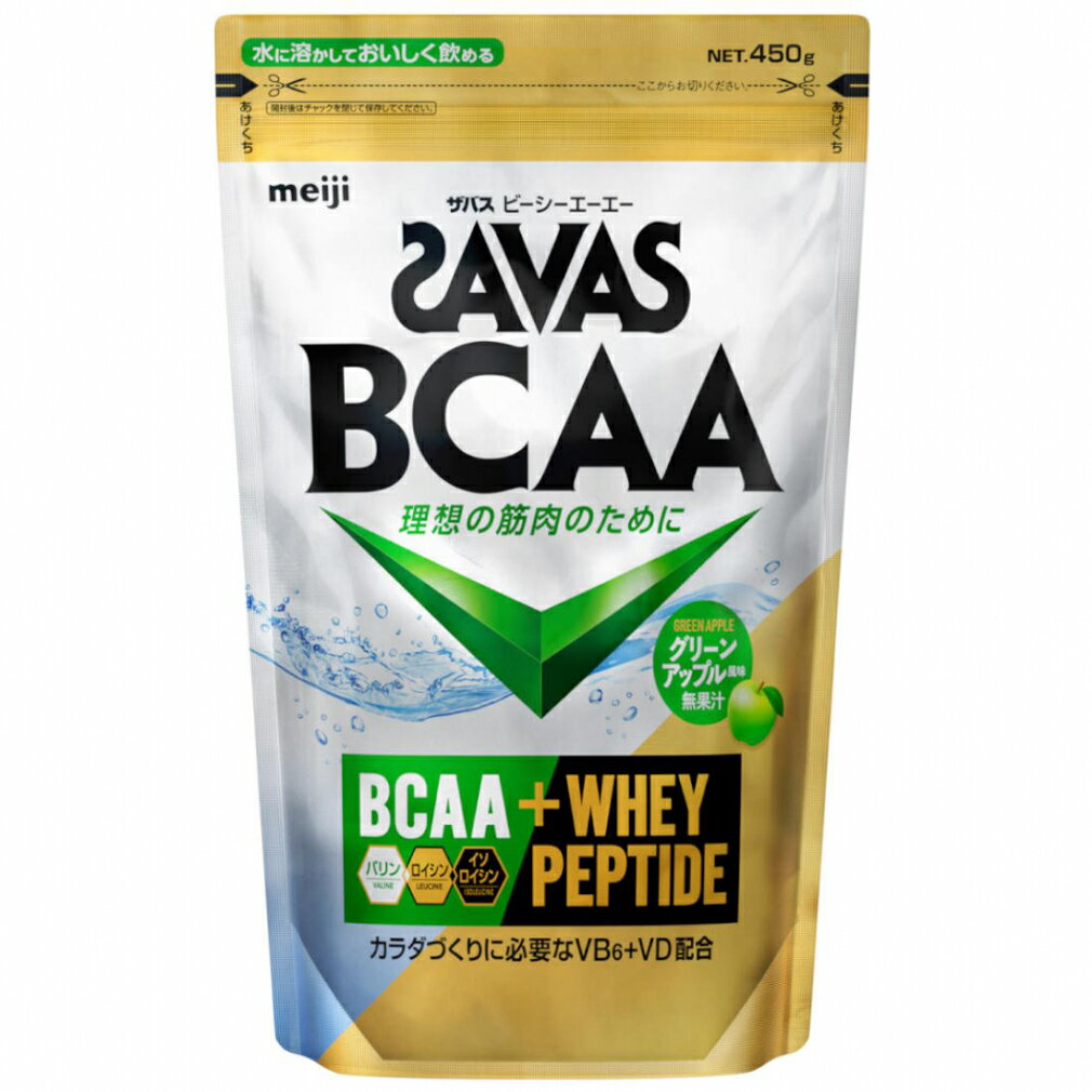 Х BCAAѥ ꡼󥢥åץ̣ 450g 2635009 ʴð ʴ SAVAS