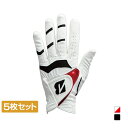 5枚セット ブリヂストン ゴルフウェア ゴルフグローブ GLG21 STRONG DUAL 厚手 (GLG21) 史上かつてない厚さ 2 層構造厚手モデル メン...