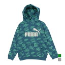 最大10%OFFクーポン 【8/15~8/20】 プーマ ジュニア キッズ 子供 スウェット パーカー ESS+ MID 90S AOP フーディースウェット 684022 スポーツウェア PUMA