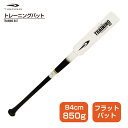 ティゴラ トレーニングバット フラットタイプ 8036075004