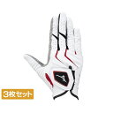3枚セット ミズノ ゴルフウェア ゴルフグローブ W-GRIP(ダブルグリップ) 右手用 (5MJMR40101) メンズ : ホワイト×レッド MIZUNO