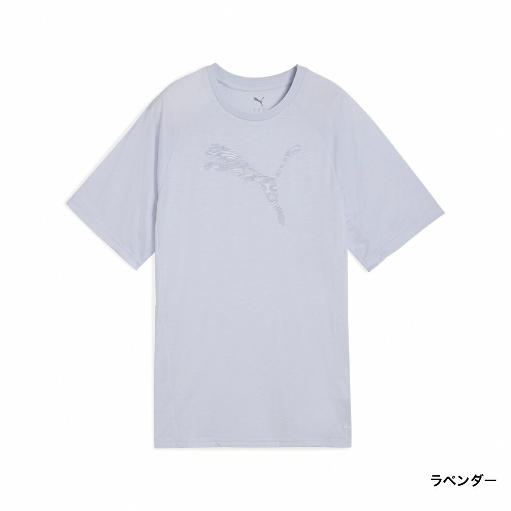 5/18限定★抽選で最大100％Pバック プーマ レディース 半袖 Tシャツ EVOSTRIPE Tシ...