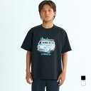 最大10%OFFクーポン 【9/18〜9/25】 2025春夏 クイックシルバー ジュニア キッズ 子供 マリン ラッシュガード DAY TRIPPIN SS ...