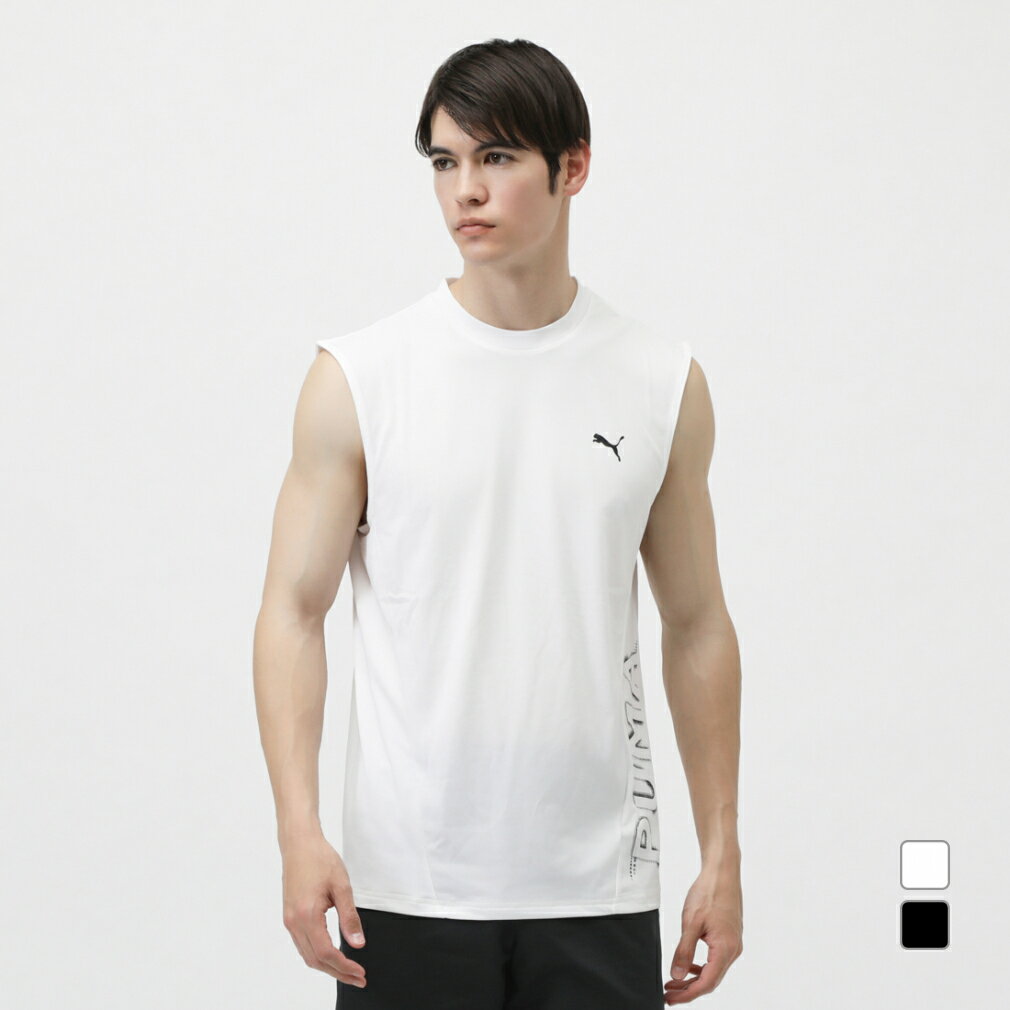 11/25Ǻ100PХå ס  Ⱦµ ǽ T TAD SL T 527050 ݡĥ PUMA