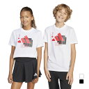 アディダス ジュニア キッズ 子供 半袖 Tシャツ カモ トレーニング グラフィック半袖Tシャツ キッズ KRM47 JI9092 JI9093 スポーツウェア adidas