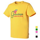 フィンタ メンズ サッカー/フットサル 半袖シャツ GDZグラフィックTシャツ FT4418 FINTA