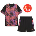 プーマ メンズ サッカーウェア 上下セット INDIVIDUALCUP SSシャツ 660199 ・ ショーツ 660205 PUMA
