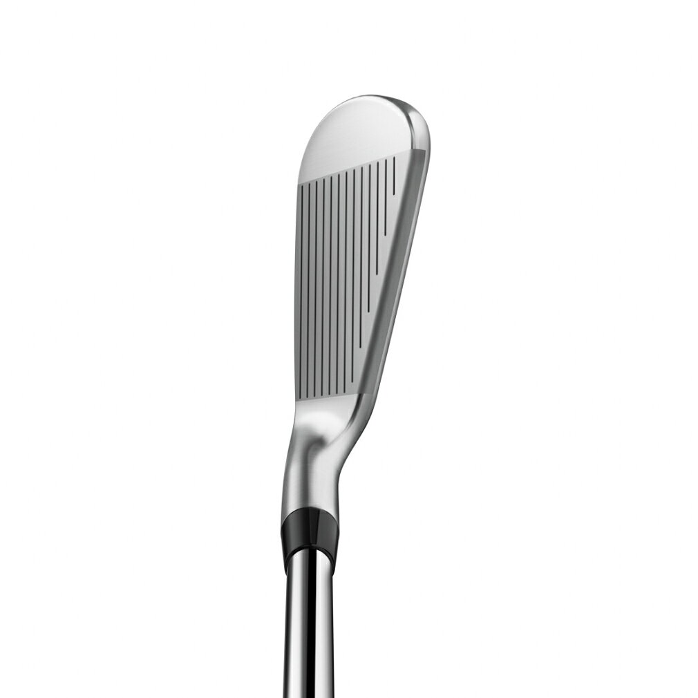 11/18限定★抽選で最大100％Pバック タイトリスト T250アイアン ゴルフ N.S. PRO 880 AMC 6本セット 2025年モデル メンズ Titleist