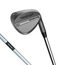 タイトリスト SM10 ニッケル ゴルフ ウェッジ Dynamic Gold S200 50゜/08゜ 2024年モデル メンズ Titleist