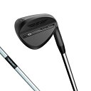 タイトリスト SM10 ジェットブラック ゴルフ ウェッジ Dynamic Gold S200 50゜/08゜ 2024年モデル メンズ Titleist