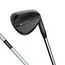 タイトリスト SM10 ジェットブラック ゴルフ ウェッジ Dynamic Gold S200 60゜/04゜ 2024年モデル メンズ Titleist