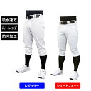 最大10%OFFクーポン 【9/4〜9/11】 ティゴラ メンズ 野球 練習用パンツ 丈夫で汚れにくい! タフパン TOUGH-PAN 練習着 レギュラー TR-8BW1154P ショート TR-8BW1164P : ホワイト TIGORA