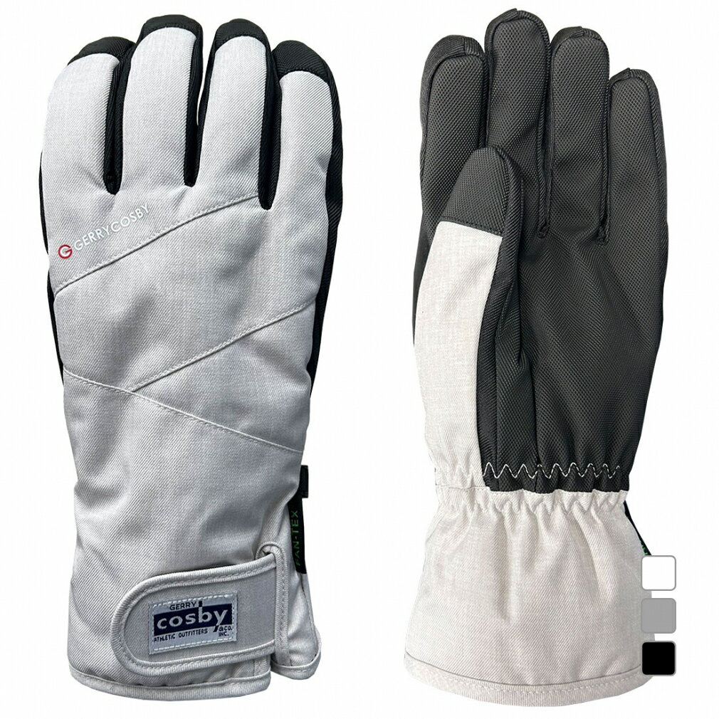 ◇防水インサート使用でしみにくスキー、スノーボード、に最適◇裏地発熱素材使用・防水インサート付■カラー(メーカー表記)：ホワイト(ホワイトスラブ)チャコールグレー(チャコール)ブラック(ブラック)■素材：ポリエステル100％■サイズ：M：手の甲/11cmL：手の甲/11.5cm■生産国：中国アルペン alpen スポーツデポ SPORTSDEPO スキー スキーグローブ 5本指 メンズ