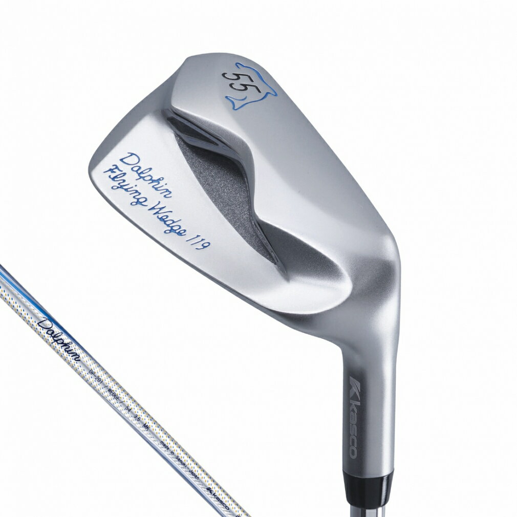 11/25Ǻ100PХå 㥹 ɥեե饤󥰥å  Dolphin DP-201 ꥸʥ륫ܥ WEDGE 55...