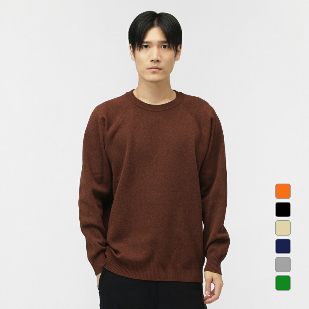 11/5限定★抽選で最大100％Pバック ティゴラ メンズ スウェット トレーナー ウォッシャブルニットクルー TR-9C1785TJ スポーツウェア TIGORAのサムネイル