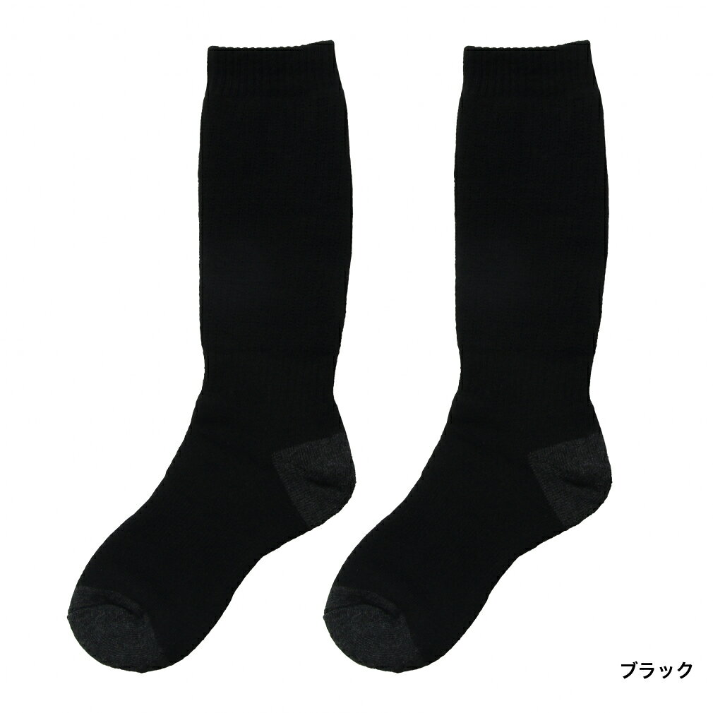 アルペン楽天市場店の8/20限定★抽選で最大100％Pバック ファブリス ジュニア キッズ 子供 スキー/スノーボード ソックス ジュニア 無地ソックス2足組 FA-5U45105 FABLICE｜アングル2