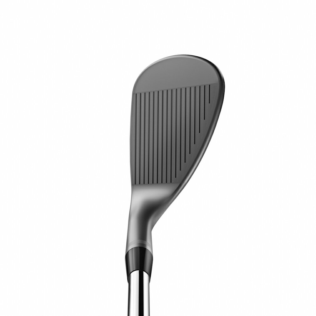 3/10 限定★全商品ポイント10倍 要エントリー タイトリスト VOKEY DESIGN ボーケイデザイン SM10 ニッケル DynamicGold/WEDGE ゴルフ ウェッジ Titleist