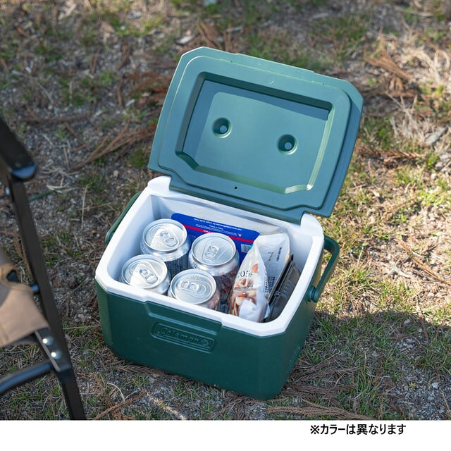 2026年 新商品 【アルペン限定】 コールマン テイク6(ピンク) 2253939 キャンプ ハードクーラー Coleman
