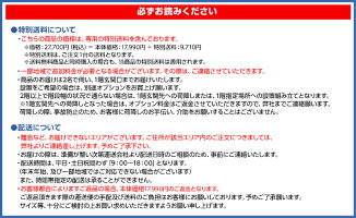 【特選品】卓球台【送料無料】国際規格サイズ卓球台(固定式)【代引可能】