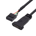 CableccシングルポートUSB 3.1タイプC USB-C女性からUSB 3.0/2.0マザーボード9pin/19pinヘッダーケーブル(2)
