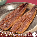 国産うなぎ蒲長焼セット 2尾セット 丑の日 うなぎ 土用の丑の日 うなぎセット 父の日 ギフト プレゼント 贈呈用 敬老の日 贈答 大人数 お父さんありがとう ギフト お祝い 冷凍 鰻 ウナギ うな丼 鰻丼 蒲焼 かば焼き