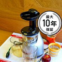 オメガ シングル スロージューサー Omega VRT350 Heavy Duty Dual-Stage Vertical Single Auger Low S...