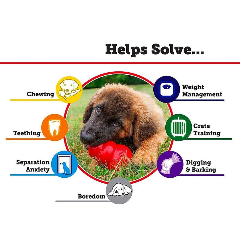 ���� ������� Kong Classic Dog Toy