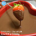 クリスマスケーキ ジョエル おいしいミルクチョコレート 300g 業務用にもお使い頂けます コーティング 【クール便選択可】