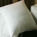 VNXs[ VNtBh AM[ _utBs[ VO SILX Pillow - Silk-Filled Hypoallergenic Double-Fill Pillow Boudoir