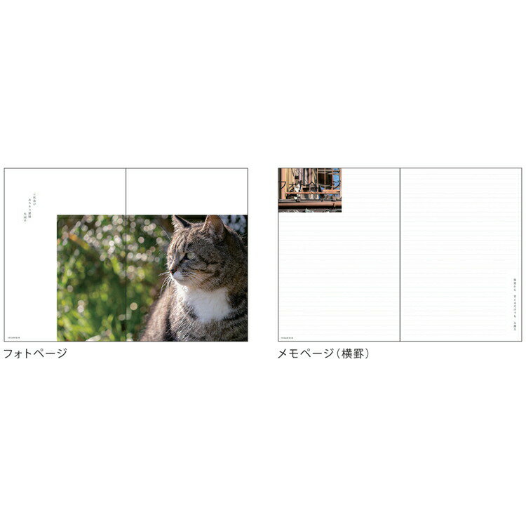 猫川柳 [手帳][2023年スケジュール帳] 1000124000 2022年10月始まり B6 マンスリー 083203