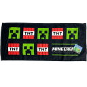 Minecraft ^IM N[p[TNTΖ }CN tFCX^I @ 539023