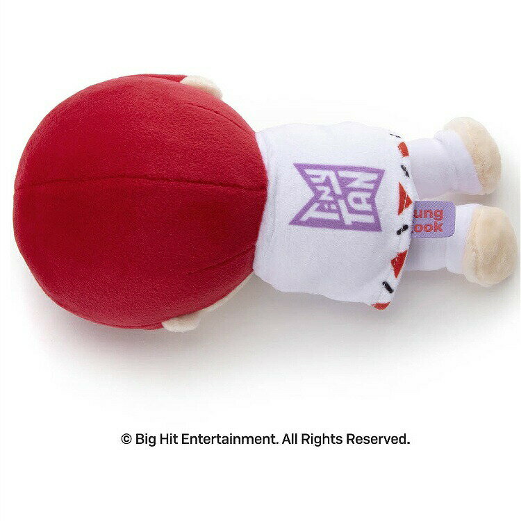 TinyTAN ぬいぐるみS Jung Kook すやすやフレンド【アウトレット・ラッピング不可】