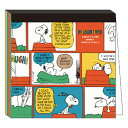 Xk[s[ XNGA pbh  306986 SNOOPY PEANUTS