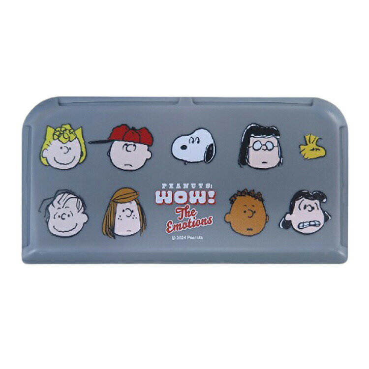 スヌーピー マルチカードポケット 049285 カー用品 SNOOPY ピーナッツ
