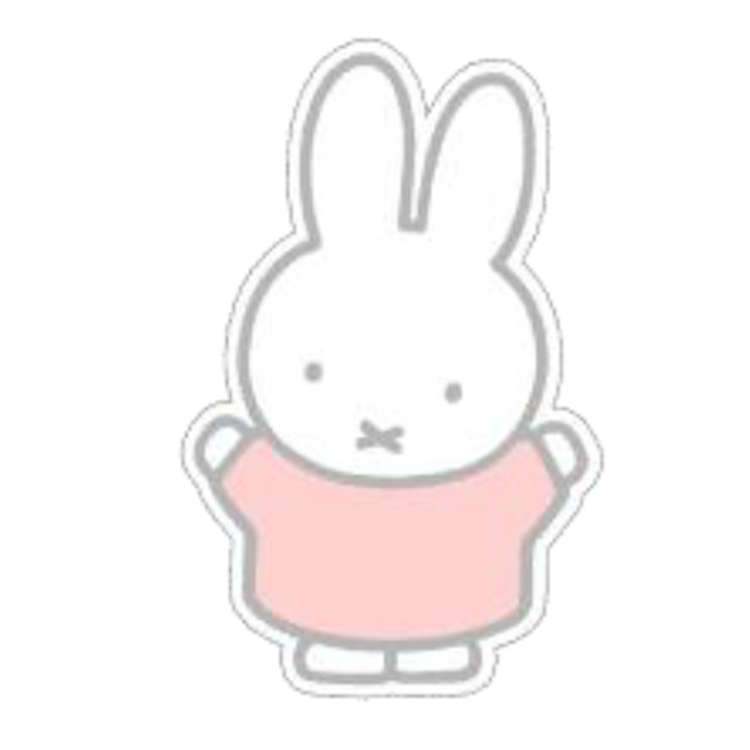 ミッフィー アクリルマグネット miffy ばんざい マグネ メモを貼る 641134