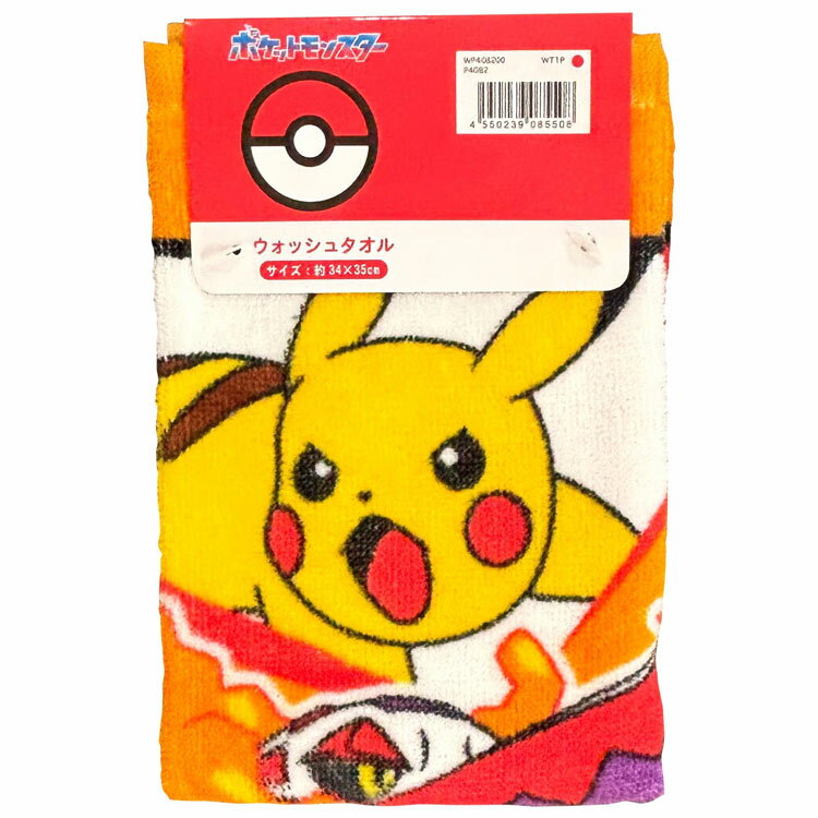 Hand Towel, Handkerchief - ポケットモンスター ウォッシュタオル 085508 ピカチュウ×ラウドボーン pokemon ポケモン